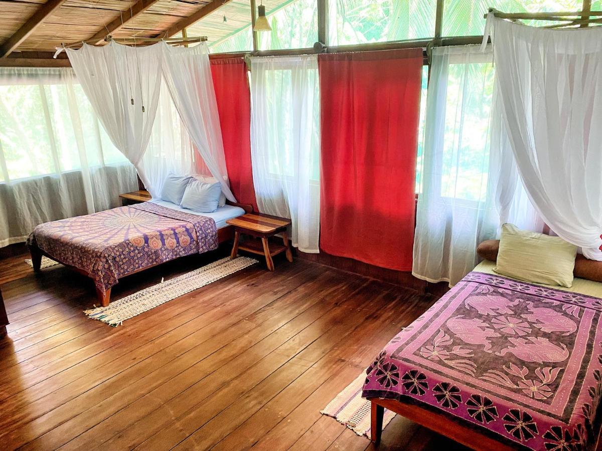 Ocean Forest Ecolodge San Pedrillo Exterior photo