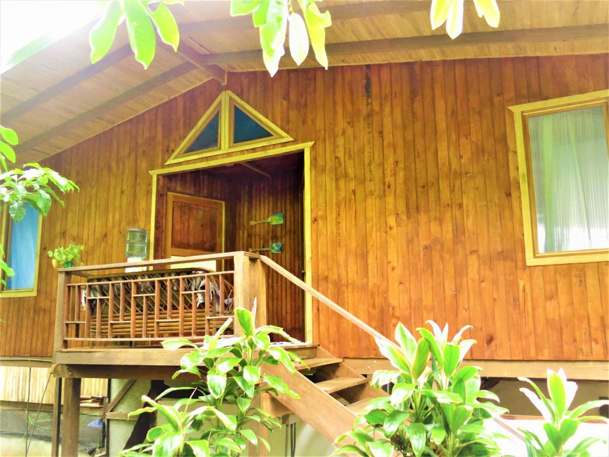 Ocean Forest Ecolodge San Pedrillo Exterior photo