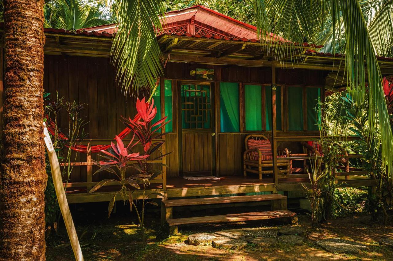 Ocean Forest Ecolodge San Pedrillo Exterior photo