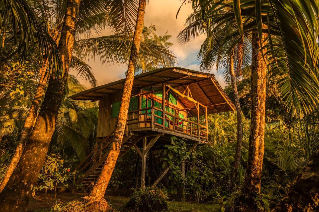 Ocean Forest Ecolodge San Pedrillo Exterior photo