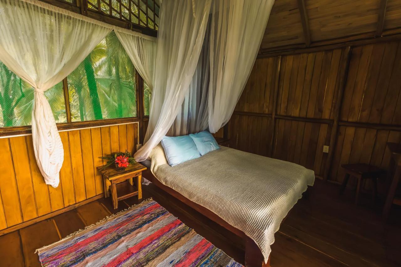 Ocean Forest Ecolodge San Pedrillo Exterior photo