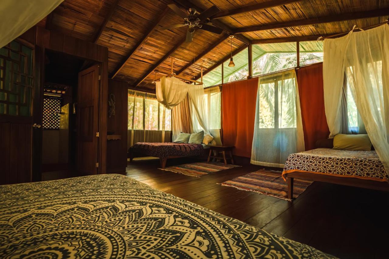 Ocean Forest Ecolodge San Pedrillo Exterior photo