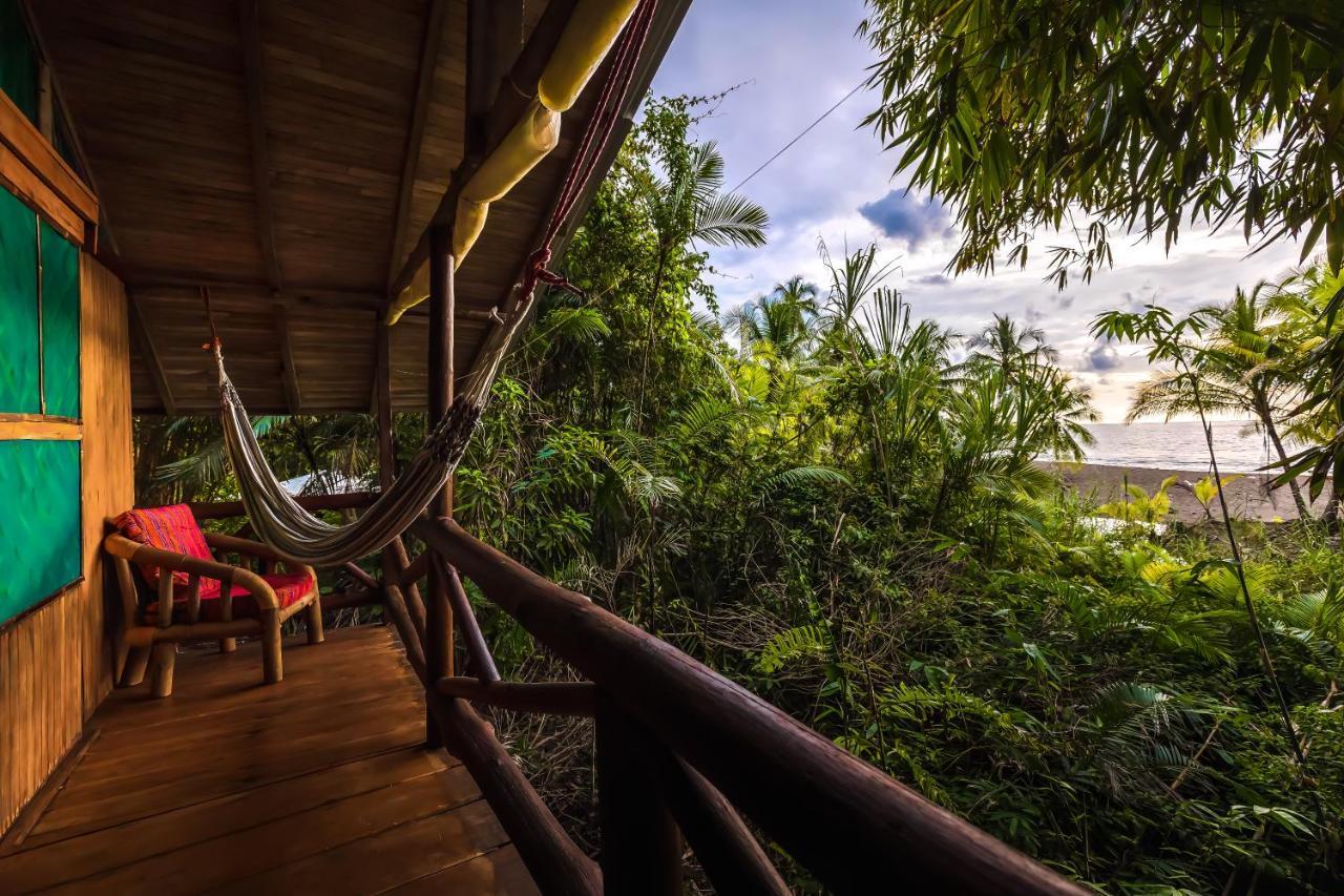 Ocean Forest Ecolodge San Pedrillo Exterior photo