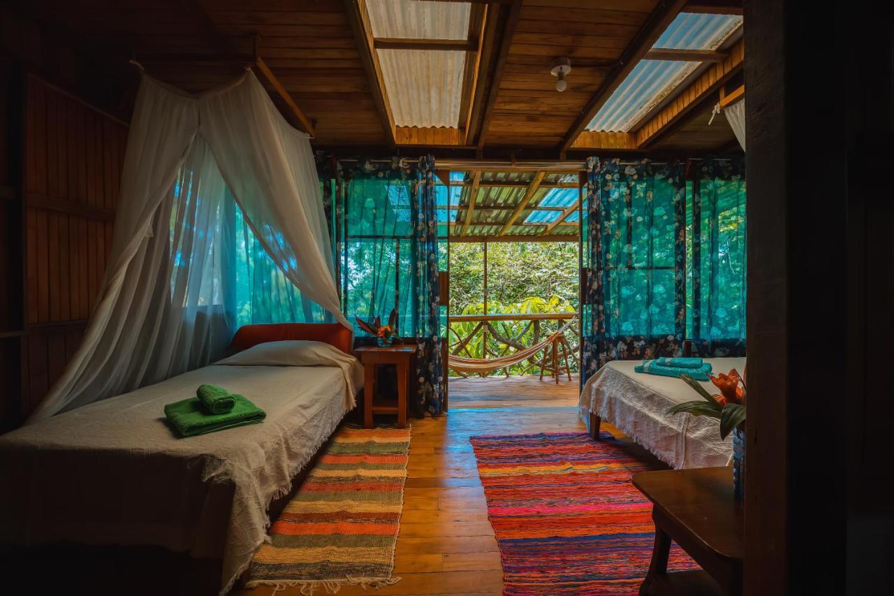 Ocean Forest Ecolodge San Pedrillo Exterior photo