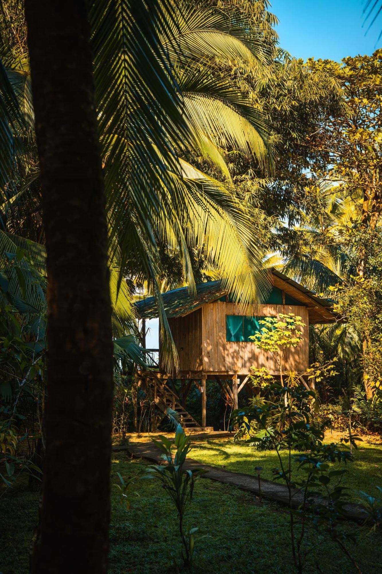 Ocean Forest Ecolodge San Pedrillo Exterior photo
