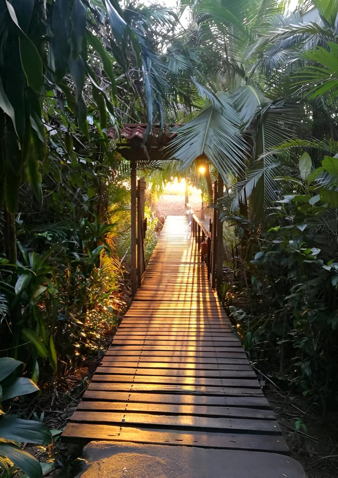 Ocean Forest Ecolodge San Pedrillo Exterior photo