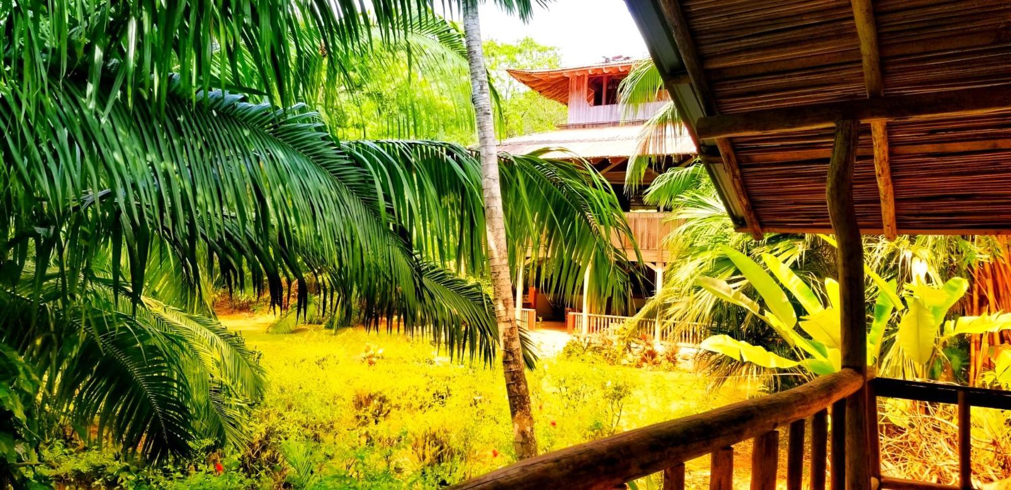 Ocean Forest Ecolodge San Pedrillo Exterior photo