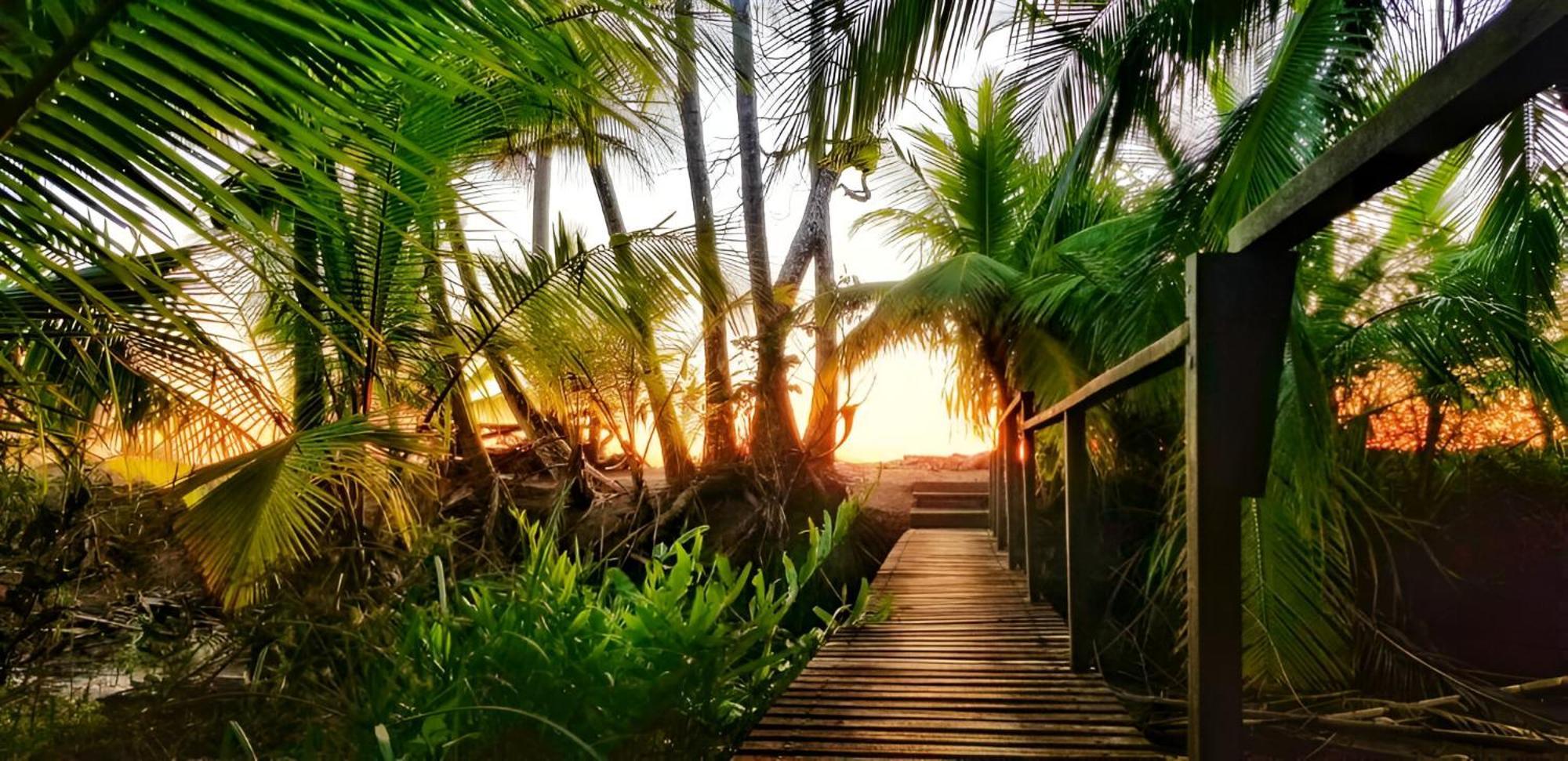 Ocean Forest Ecolodge San Pedrillo Exterior photo
