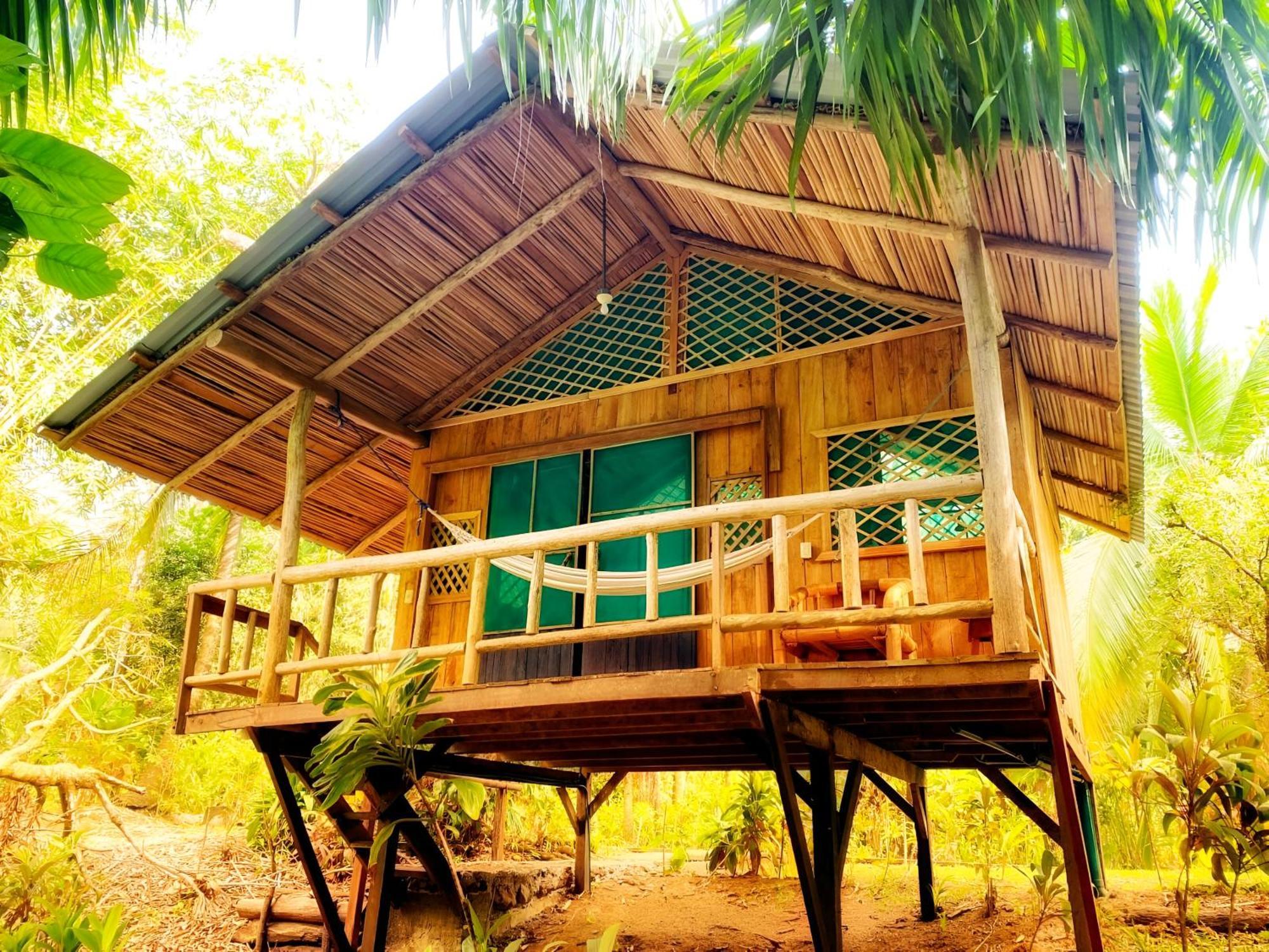 Ocean Forest Ecolodge San Pedrillo Exterior photo